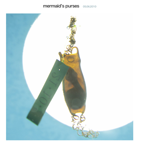 ピクチャ 3 ピクチャ 3