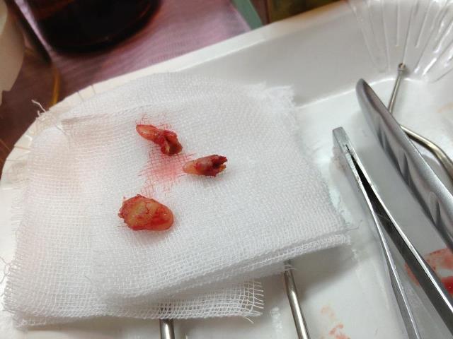 148970_271682442927270_100002565503275_538659_205470455_n 148970_271682442927270_100002565503275_538659_205470455_n