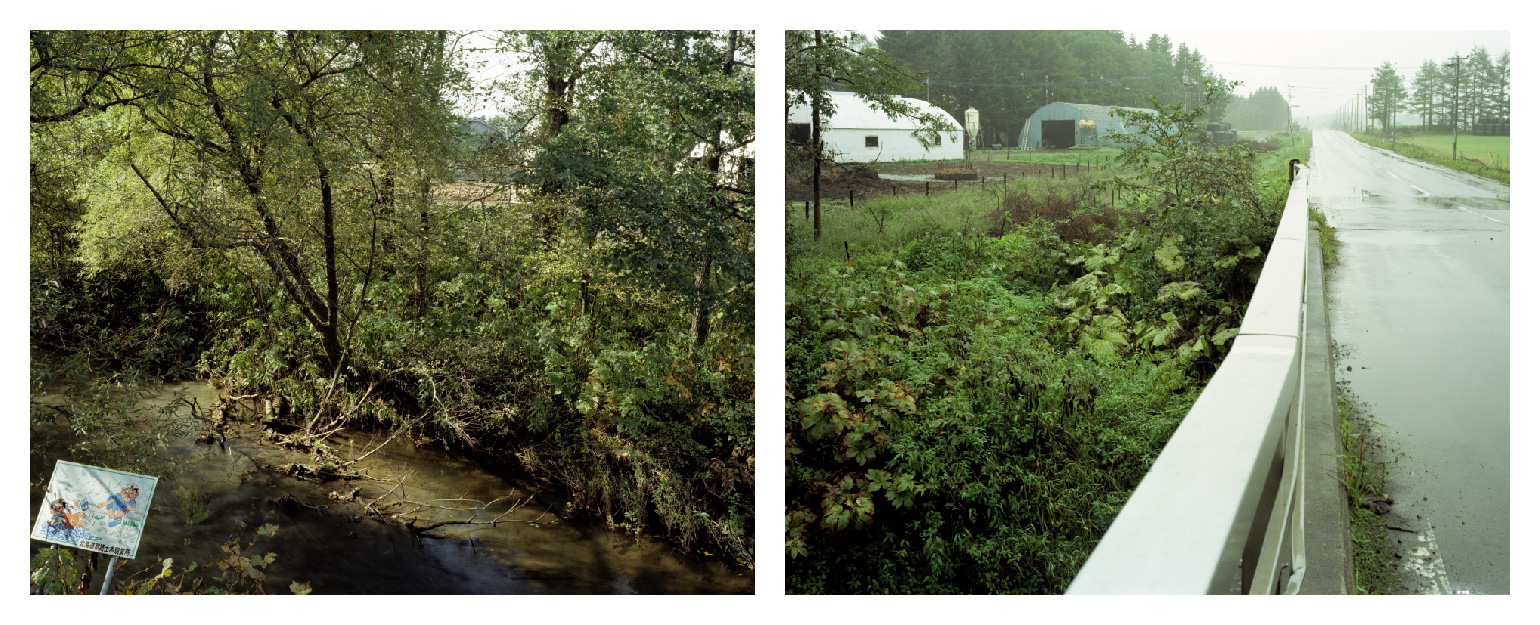 計根別／Kenebetsu／kene-ka<pet>